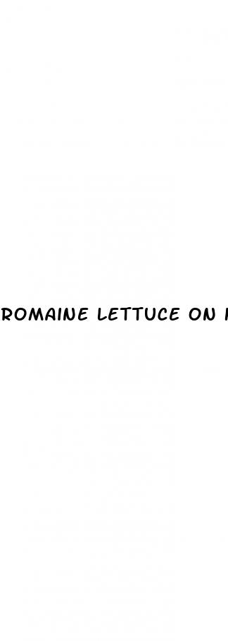 romaine lettuce on keto diet