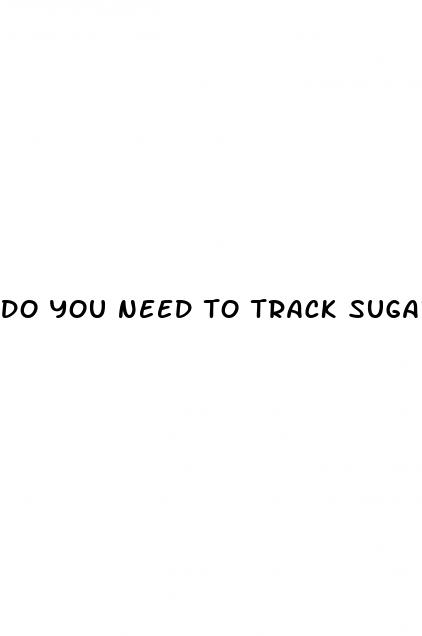 do you need to track sugars in a keto diet