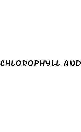 chlorophyll and weight loss