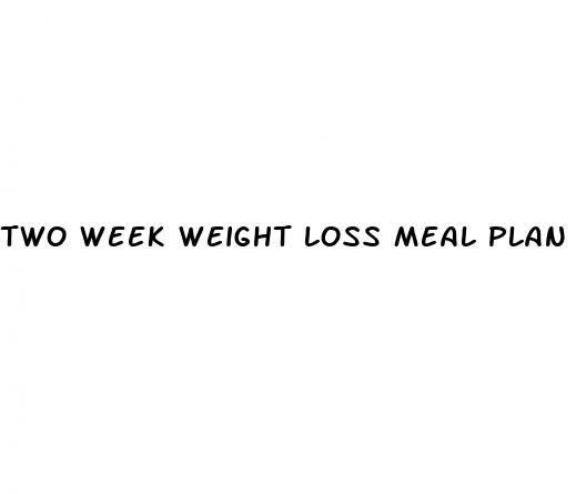 two week weight loss meal plan