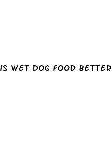 is wet dog food better for weight loss