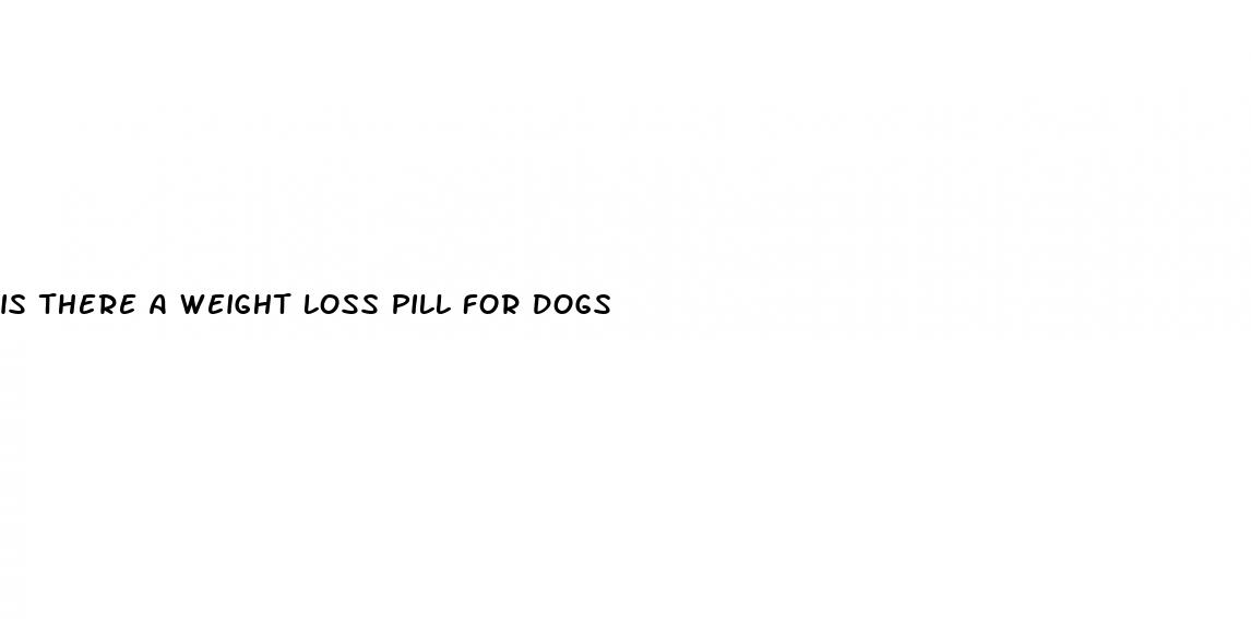 is there a weight loss pill for dogs