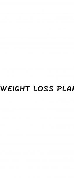 weight loss plan pill or patch