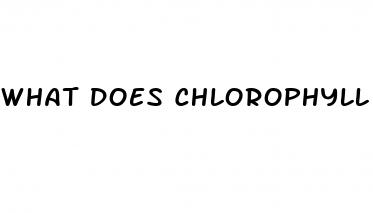 what does chlorophyll do for weight loss