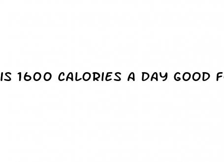 is 1600 calories a day good for weight loss