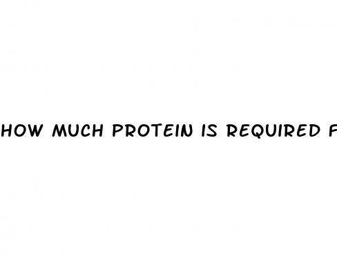 how much protein is required for weight loss