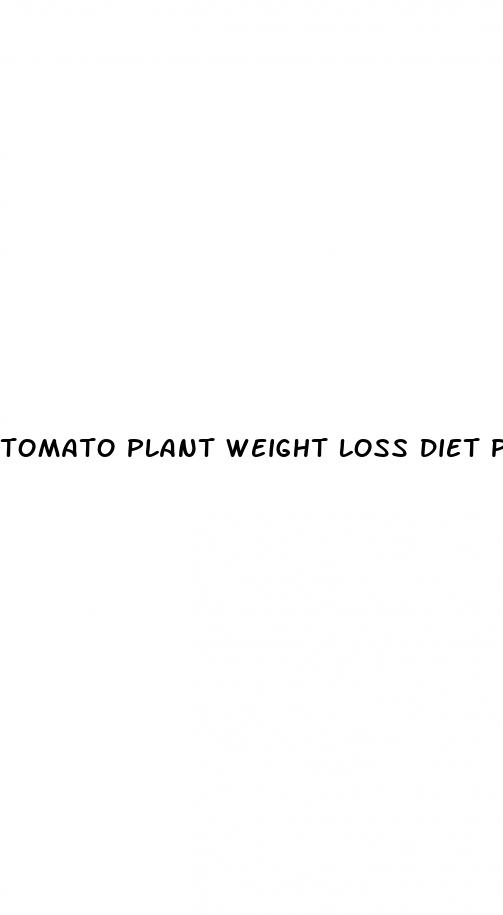tomato plant weight loss diet pills