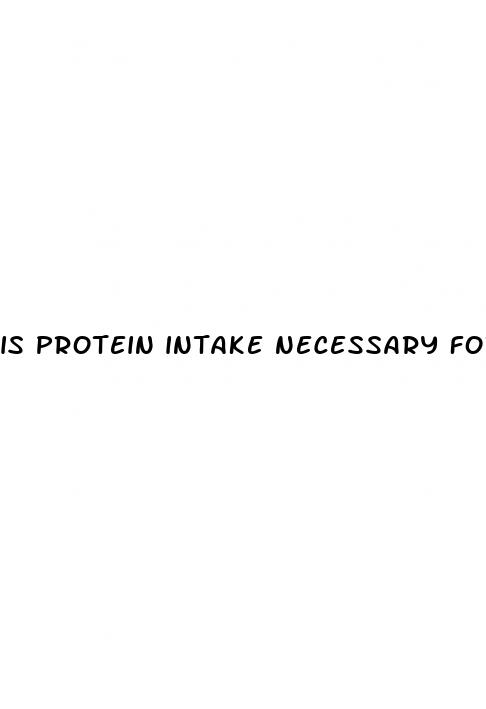 is protein intake necessary for weight loss