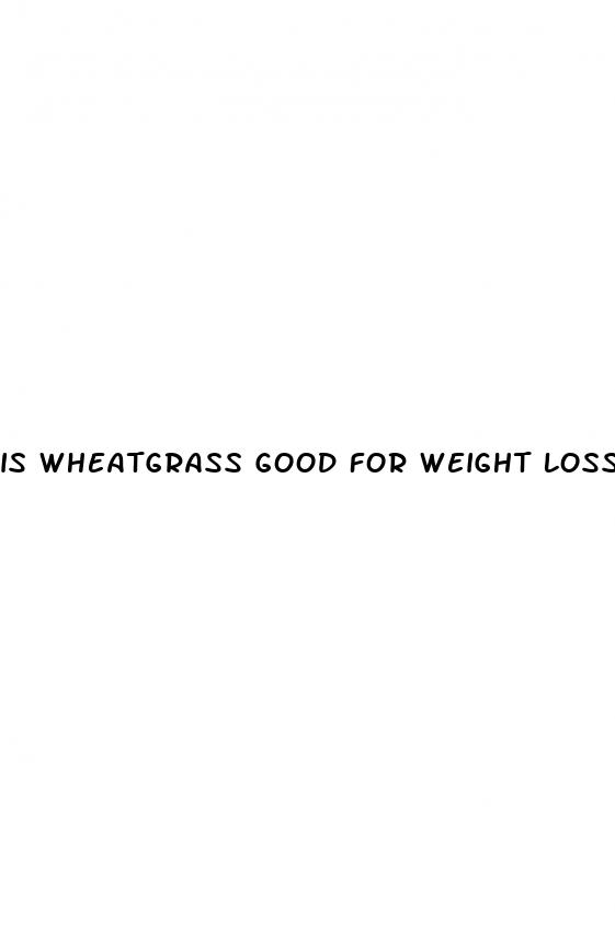 is wheatgrass good for weight loss
