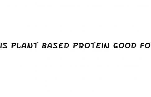 is plant based protein good for weight loss
