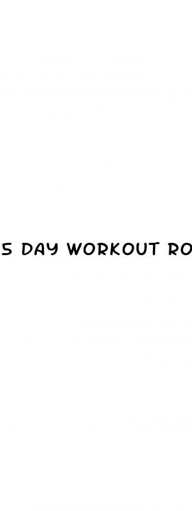 5 day workout routine for weight loss and muscle gain