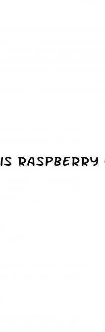 is raspberry good for weight loss