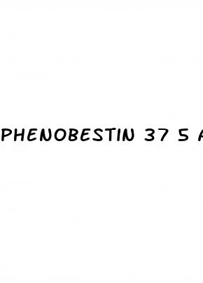 phenobestin 37 5 appetite suppressant weight loss diet pills