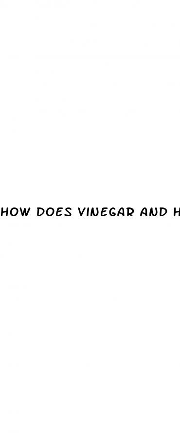 how does vinegar and honey help with weight loss