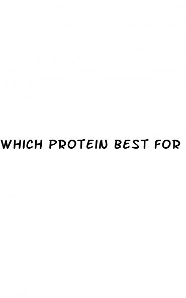 which protein best for weight loss