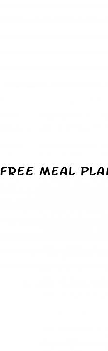 free meal plan for weight loss and muscle gain male