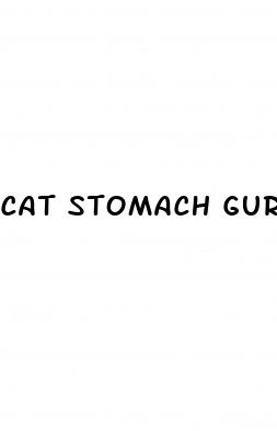 cat stomach gurgling weight loss