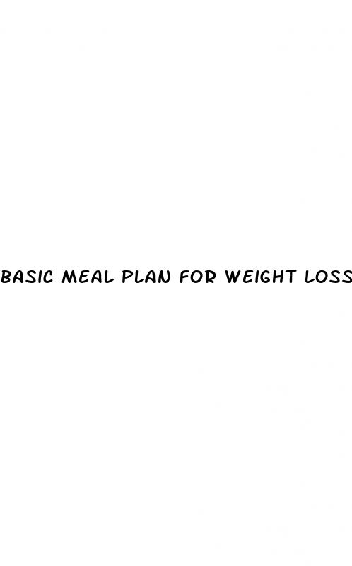 basic meal plan for weight loss