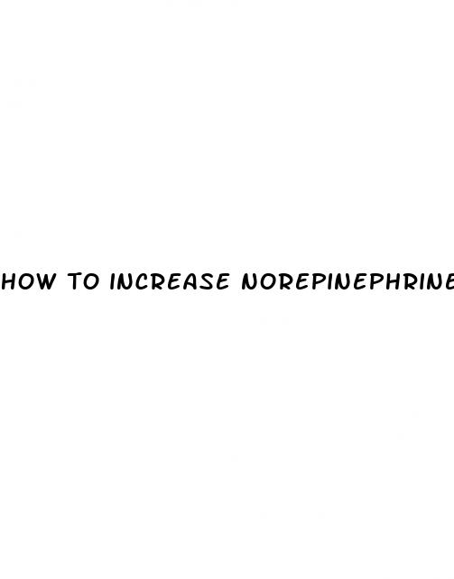 how to increase norepinephrine for weight loss