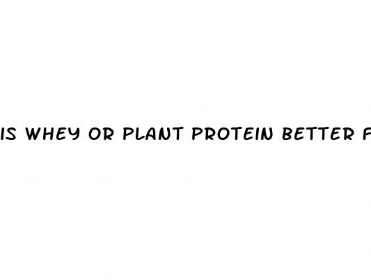 is whey or plant protein better for weight loss