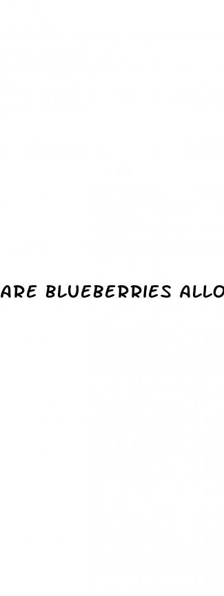 are blueberries allowed on keto diet