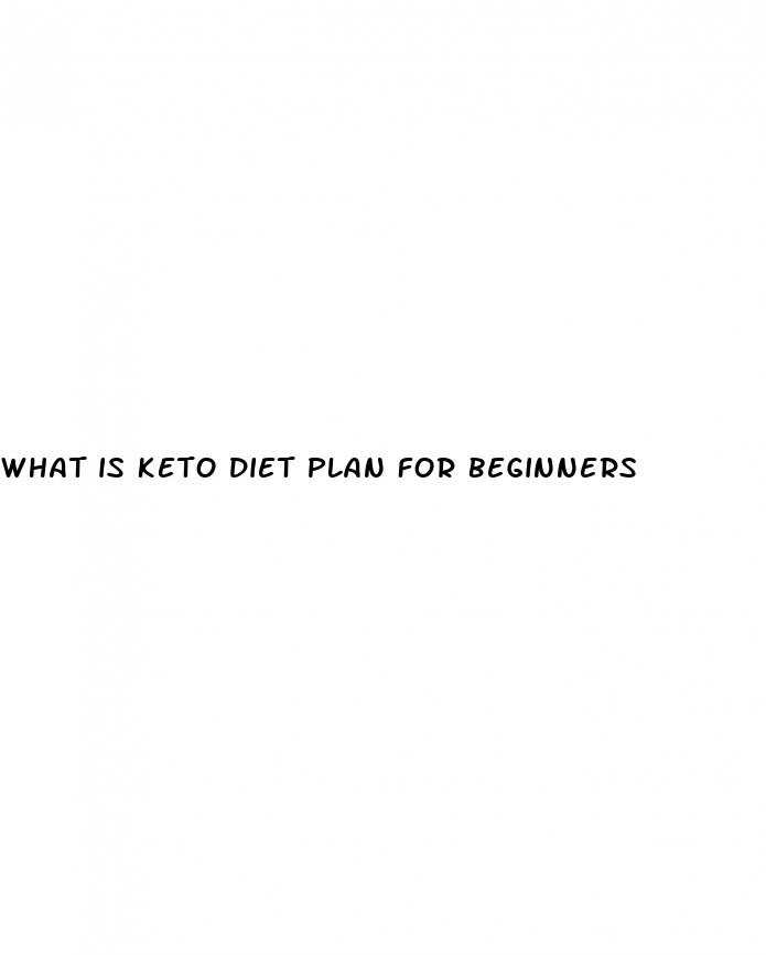 what is keto diet plan for beginners