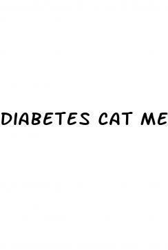 diabetes cat meme
