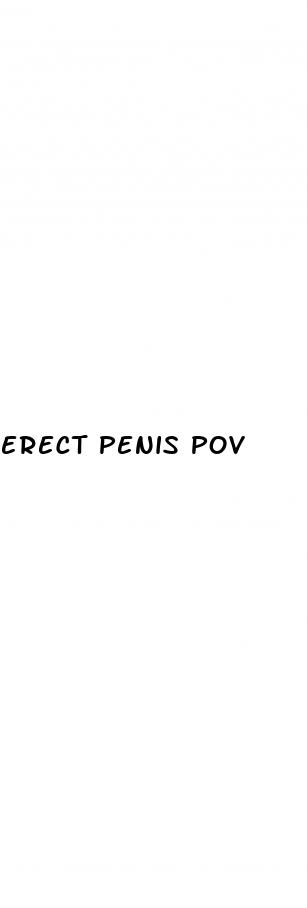 erect penis pov