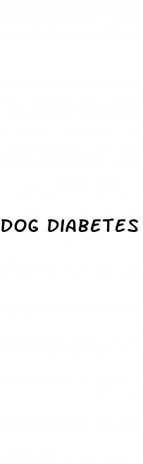dog diabetes treats