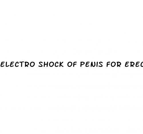 electro shock of penis for erections