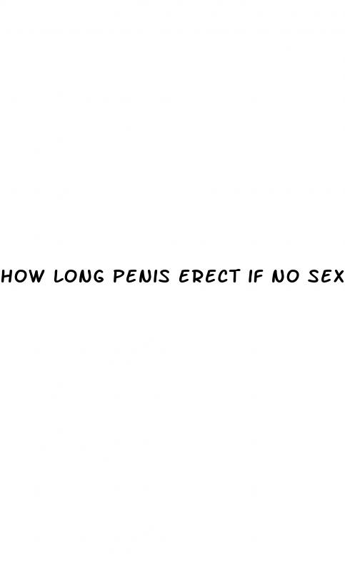 how long penis erect if no sex