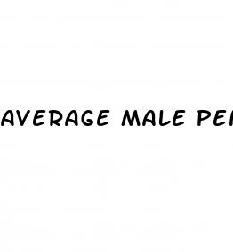 average male penis size not erect