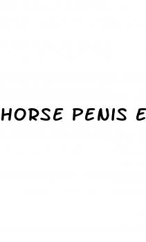 horse penis erect size