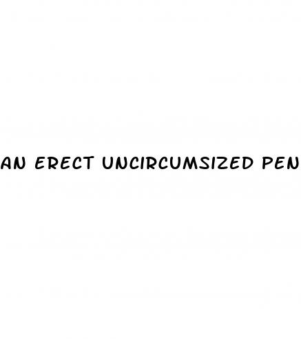 an erect uncircumsized penis