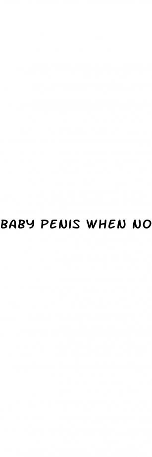 baby penis when not erect