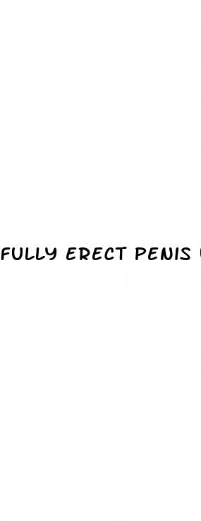 fully erect penis uncircumcised