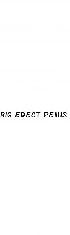 big erect penis pictures