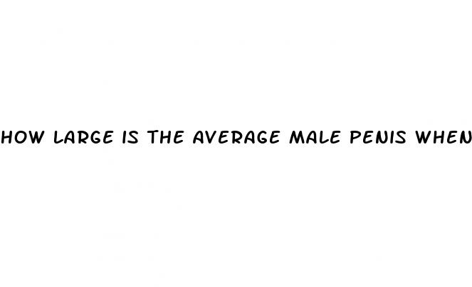 how large is the average male penis when erect