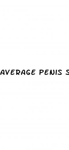 average penis size erect photo