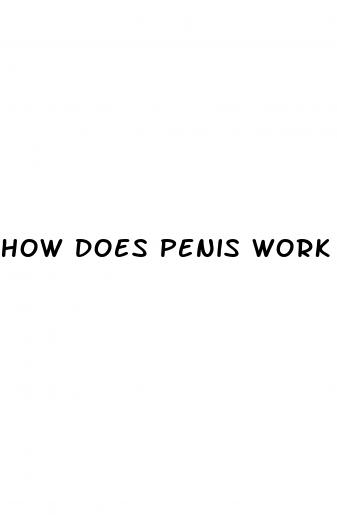 how does penis work