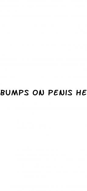 bumps on penis head when erect