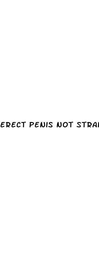 erect penis not straight