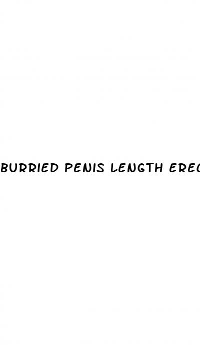 burried penis length erect
