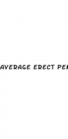 average erect penis lengtg