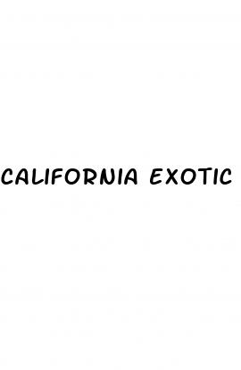 california exotic penis correction erection enhancer