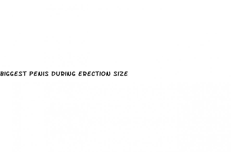 biggest penis during erection size