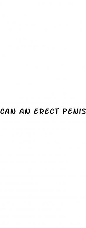 can an erect penis really piss