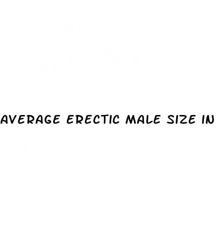 average erectic male size in penis