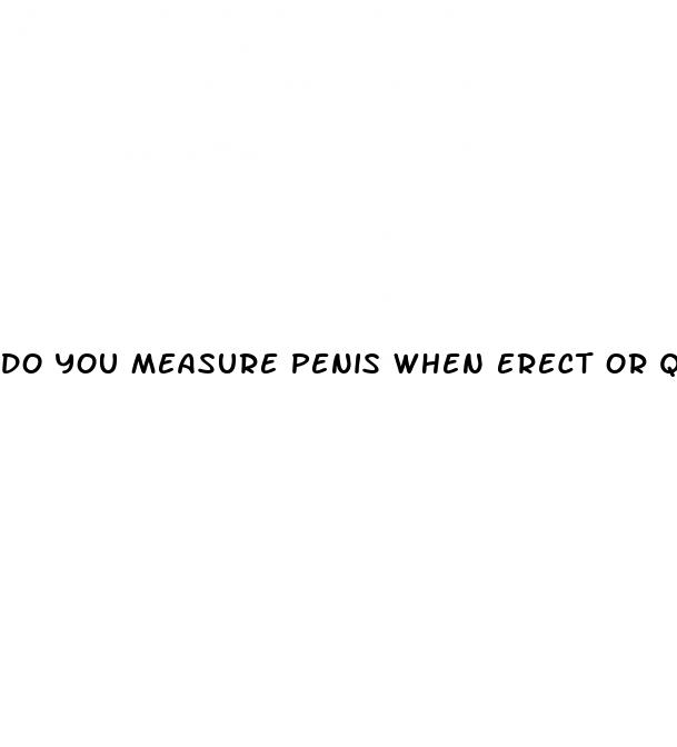 do you measure penis when erect or qjen soft
