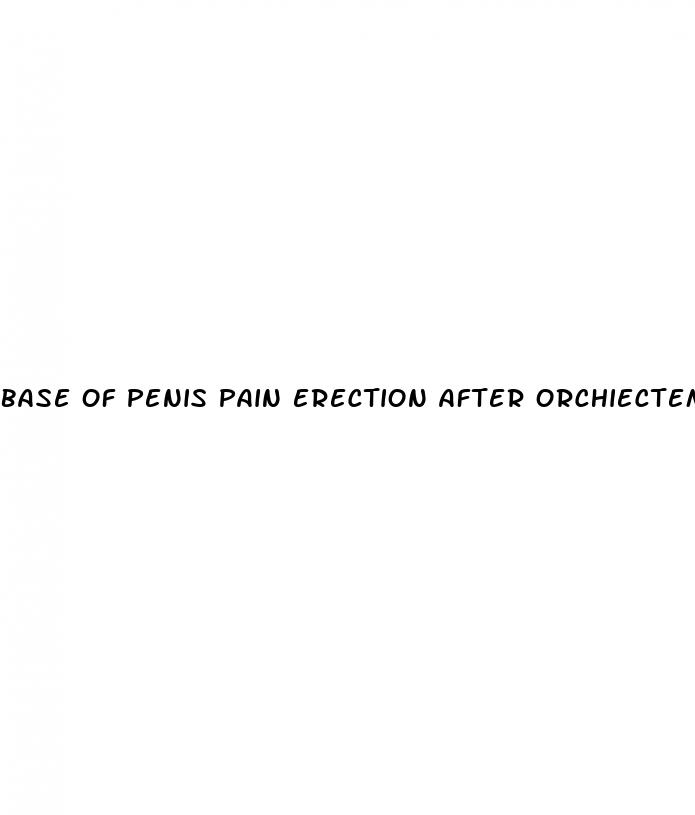 base of penis pain erection after orchiectemy